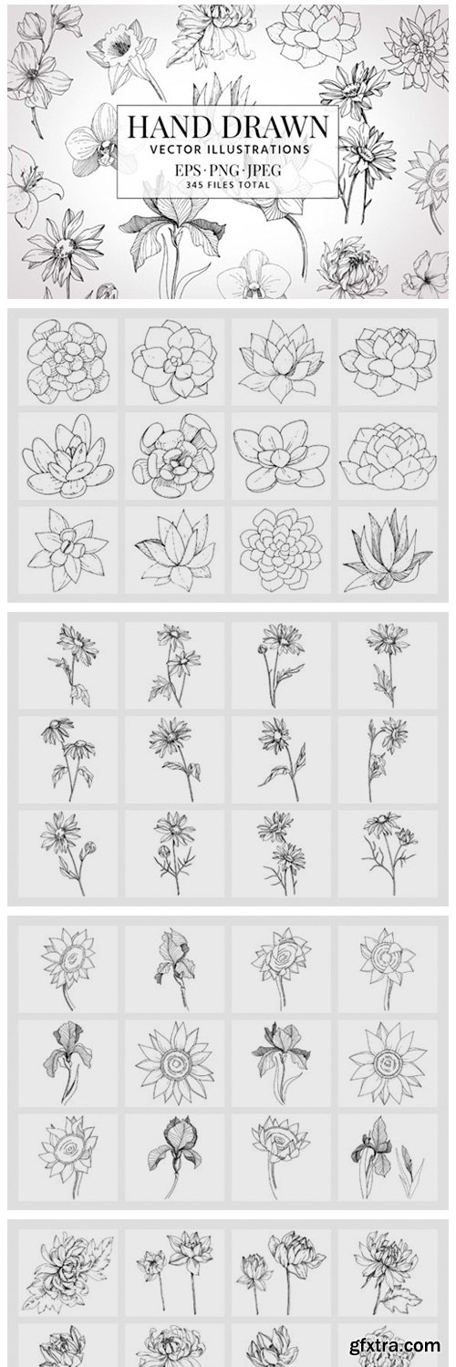 Vector Illustration of Freesia Flower 2126510