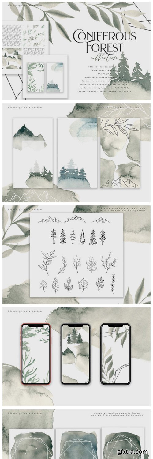 Coniferous Forest Art Collection 2129912