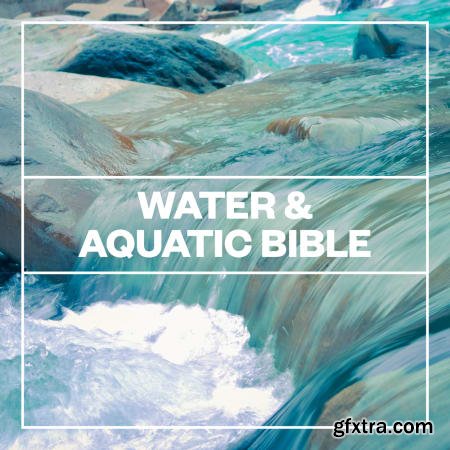 Blastwave FX Water and Aquatic Bible WAV