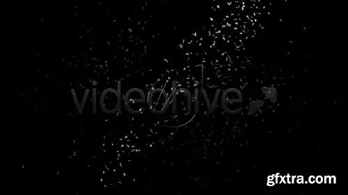 Videohive Logo Transformation 2033300