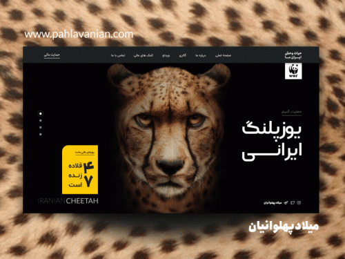 Iranian Cheetah ( RTL + LTR ) - iranian-cheetah-rtl-ltr