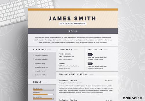 Resume Layout with Orange and Gray Elements - 286745210 - 286745210