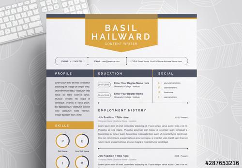 Resume Layout with Dark Gray Sidebar - 287653216 - 287653216