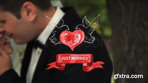 Videohive Wedding Package 9943153