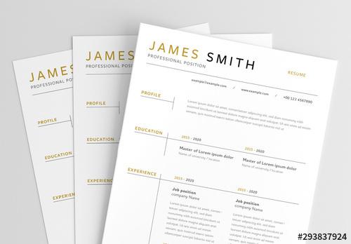 Simple Resume Layout with Gold Accents - 293837924 - 293837924