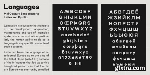 Mid Century Sans Font Family