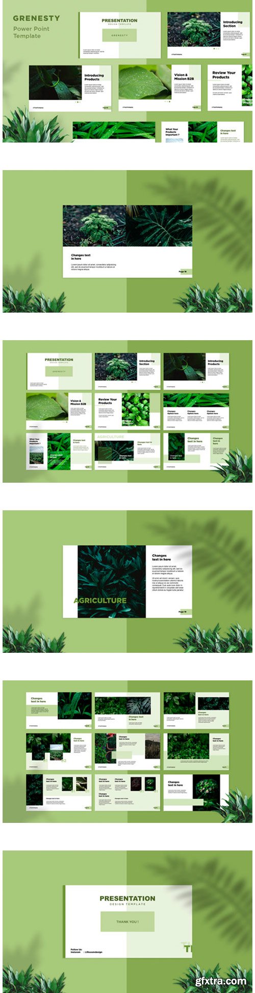 Presentation Design Template - Grenesty 2402677