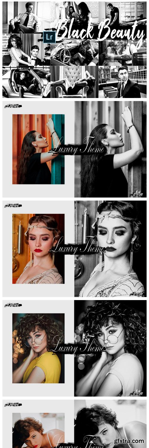 05 Black Beauty Desktop Lightroom Preset 2420554