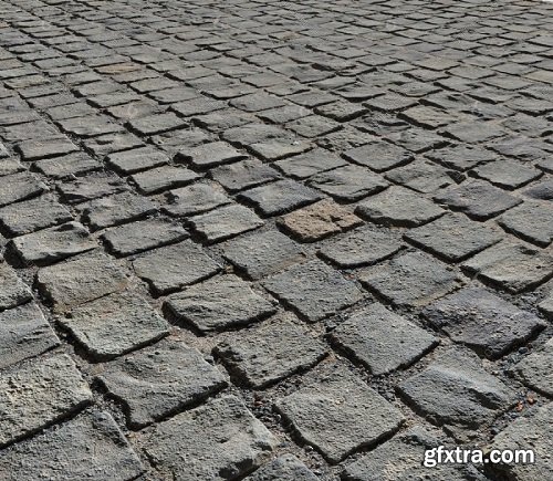 Cobblestone Street 3D model