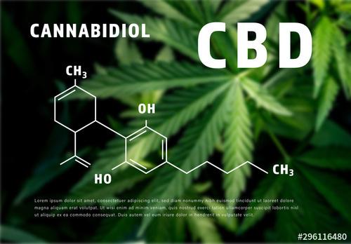 CBD Oil Infographic with Molecular Formula Illustration - 296116480 - 296116480