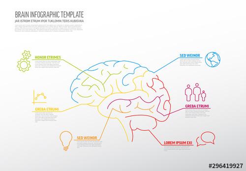 Infographic with Brain Illustration - 296419927 - 296419927