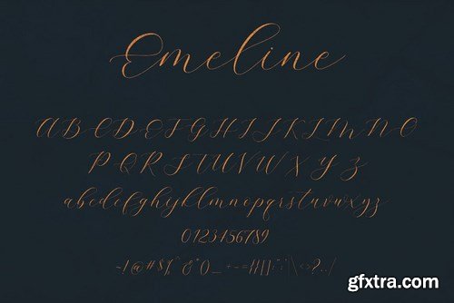 CM - Emeline Script Font 4449875