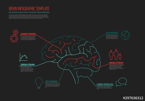 Dark Infographic with Brain Illustration - 297636312 - 297636312