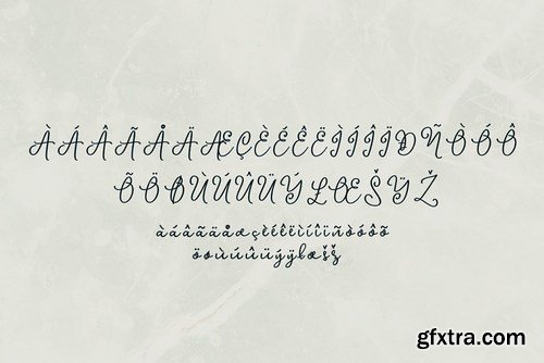 CM - Avelane Script Font 4453749