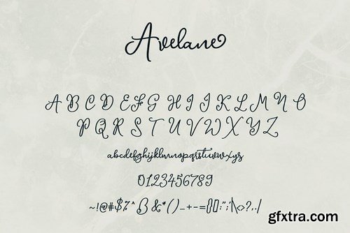 CM - Avelane Script Font 4453749