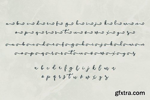 CM - Avelane Script Font 4453749