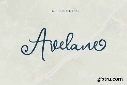 CM - Avelane Script Font 4453749