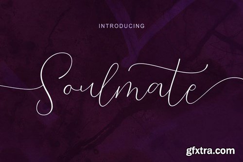 CM - Soulmate Script Font 4453783