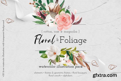 Floral & Foliage Illustration Pack