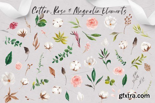 Floral & Foliage Illustration Pack