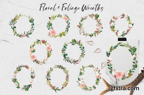 Floral & Foliage Illustration Pack