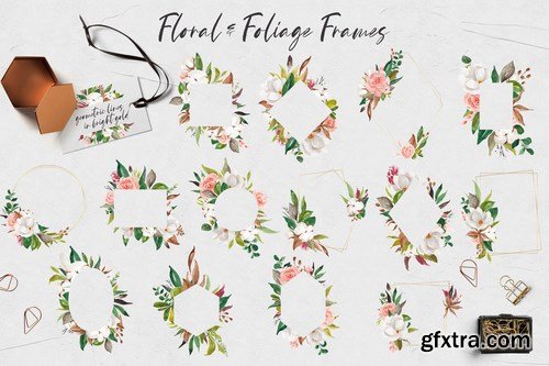 Floral & Foliage Illustration Pack