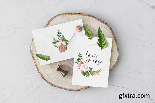 Floral & Foliage Illustration Pack