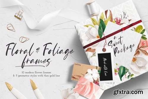 Floral & Foliage Illustration Pack