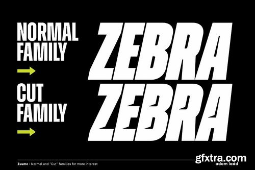 CM - Zuume Font Family 4445344