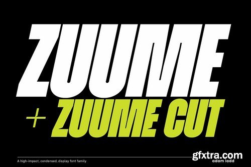 CM - Zuume Font Family 4445344