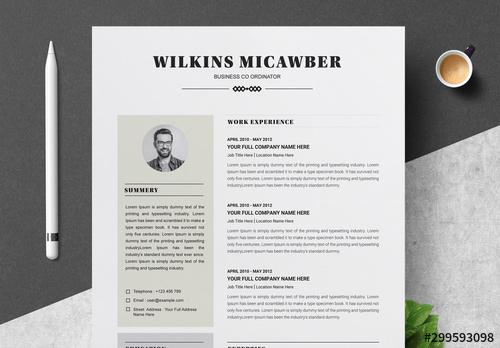 Resume Layout Set with Muted Colors - 299593098 - 299593098