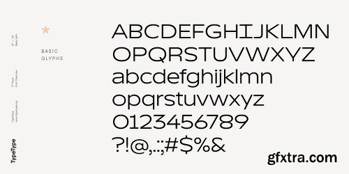 TT Runs Font Family - 20 Fonts - $780