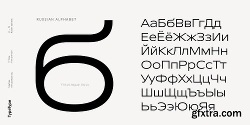 TT Runs Font Family - 20 Fonts - $780