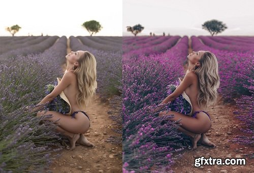 Yulia Bezdar - Provence Desktop & Mobile Presets