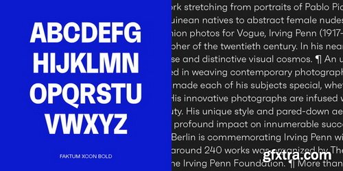 Faktum Font Family (Update)