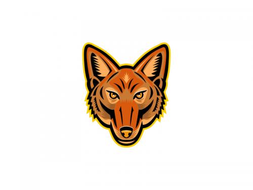 Jackal Head Front Mascot - jackal-head-front-mascot-8011107d-3200-46be-934c-91e0f18f57e9