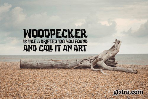 Woodpecker - Unique Jungle Font