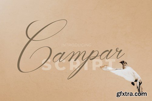 Campar Script