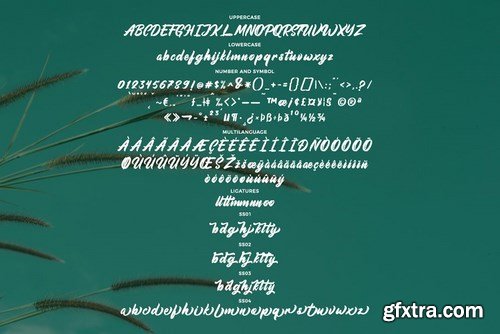 CM - Aimchestar - Script Font 4464407