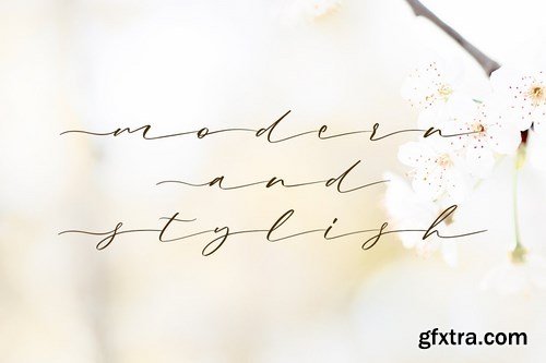 CM - Gladis - Modern Calligraphy 4435815