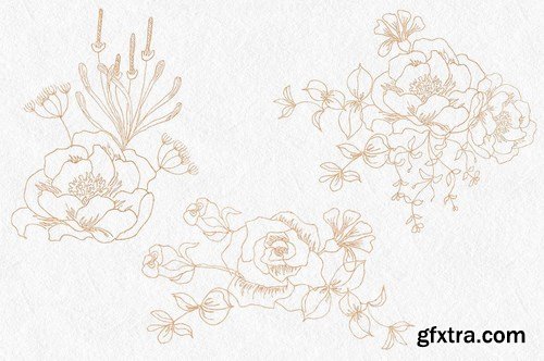 Floral Line Drawings in Gold