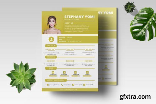 CV Resume Professional Template Vol.02