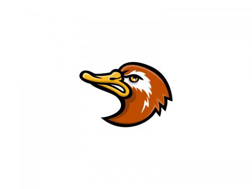 Laysan Duck Head Mascot - laysan-duck-head-mascot