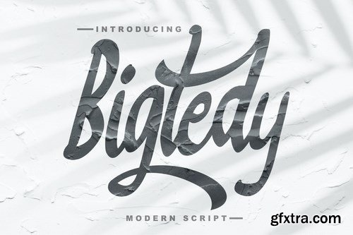 Bigtedy Modern Script