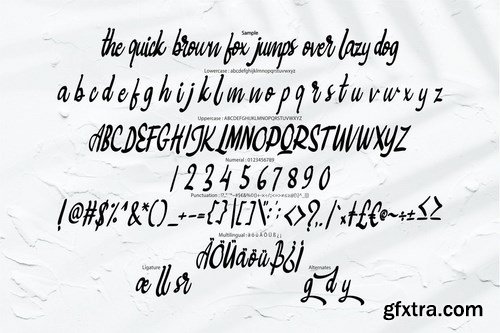 Bigtedy Modern Script