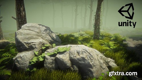 Unity Environment Design