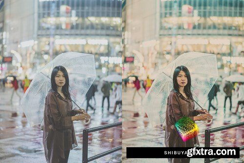 50 Rainy Japan Lightroom Presets