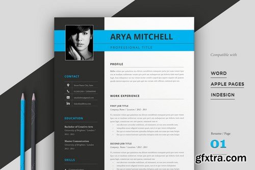 Cv Resume Template