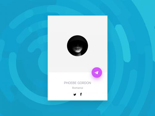 Minimal Profile Card Widget - minimal-profile-card-widget