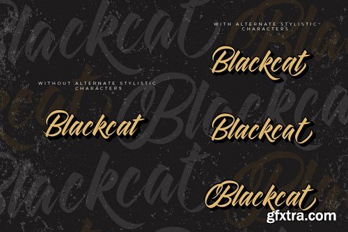 Blackcat Script Regular and Extruded